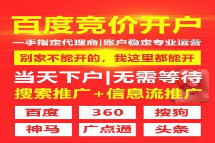 电商平台信息流广告的创意与执行案例分析